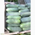 Крымские овощи и фрукты