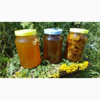 Липовый мёд 2020г. с личной пасеки в Башкирии
