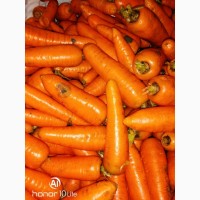 Морковь мелкая и лом