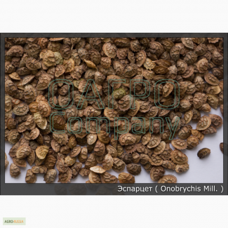 Продаем семена эспарцета (Onobrychis Mill)