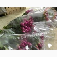 Тюльпаны оптом Абакан (45-70см) и мимоза к 8 марта 2022г