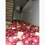 Свежие фрукты яблоки в Сербии