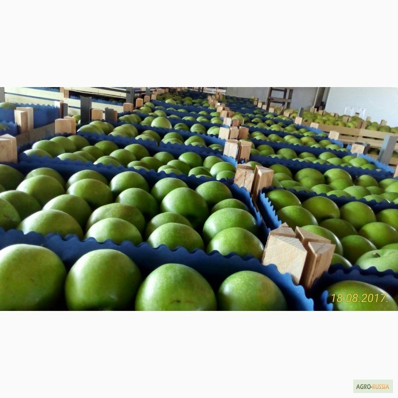 Фото 2. Свежие фрукты яблоки в Сербии