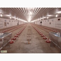 Птицеводческое оборудование производства турецкой фирмы “Aytav Poultry Equipment”