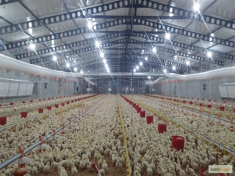 Фото 2. Птицеводческое оборудование производства турецкой фирмы “Aytav Poultry Equipment”