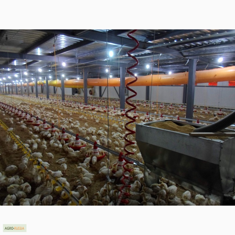 Фото 9. Птицеводческое оборудование производства турецкой фирмы “Aytav Poultry Equipment”