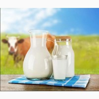 Предприятие закупает сырое молоко по СПБ, ЛО и всей РФ