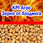 АГРОХолдинг реализует гречку высокого качества. КиПиАй Агро