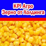 АГРОХолдинг реализует гречку высокого качества. КиПиАй Агро