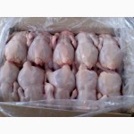 Продам мясо курицы «Ясные Зори»