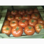 Продаю помидоры, срочно. 55 рублей