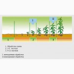 Микроудобрение для КУКУРУЗЫ с NPK цинком и аминокислотами