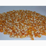 Экструдированная кукуруза, ячмень, пшеница от производителя оптом
