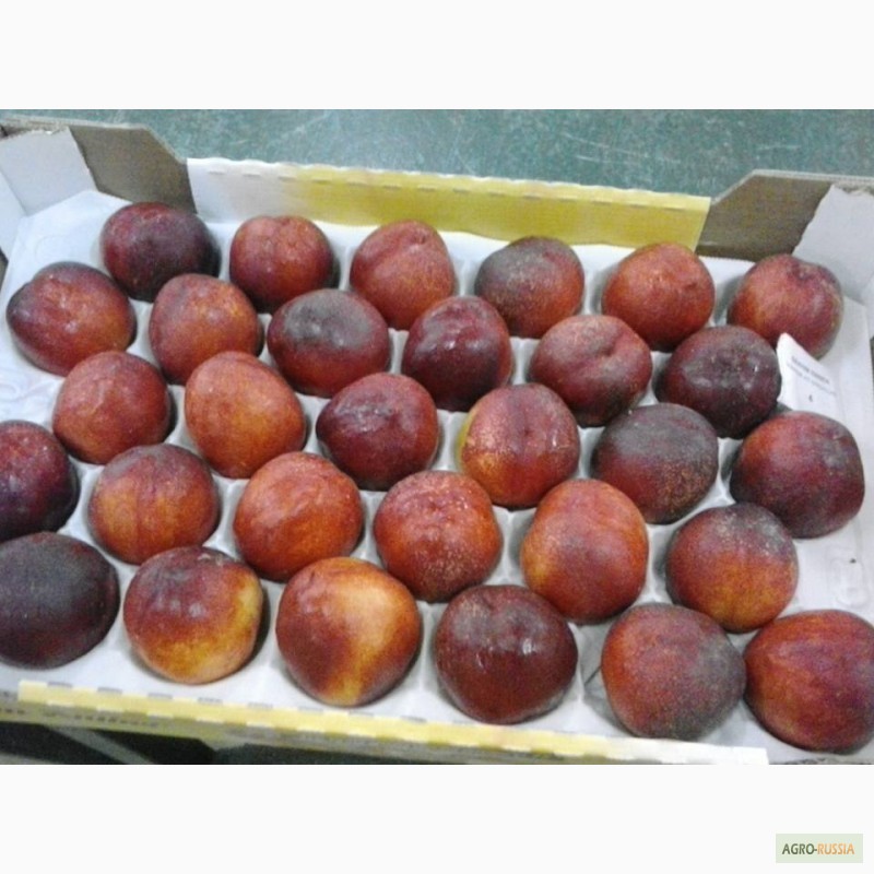 Фото 3. Свежие персики и Нектарины из Марокко