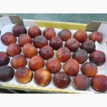 Свежие персики и Нектарины из Марокко