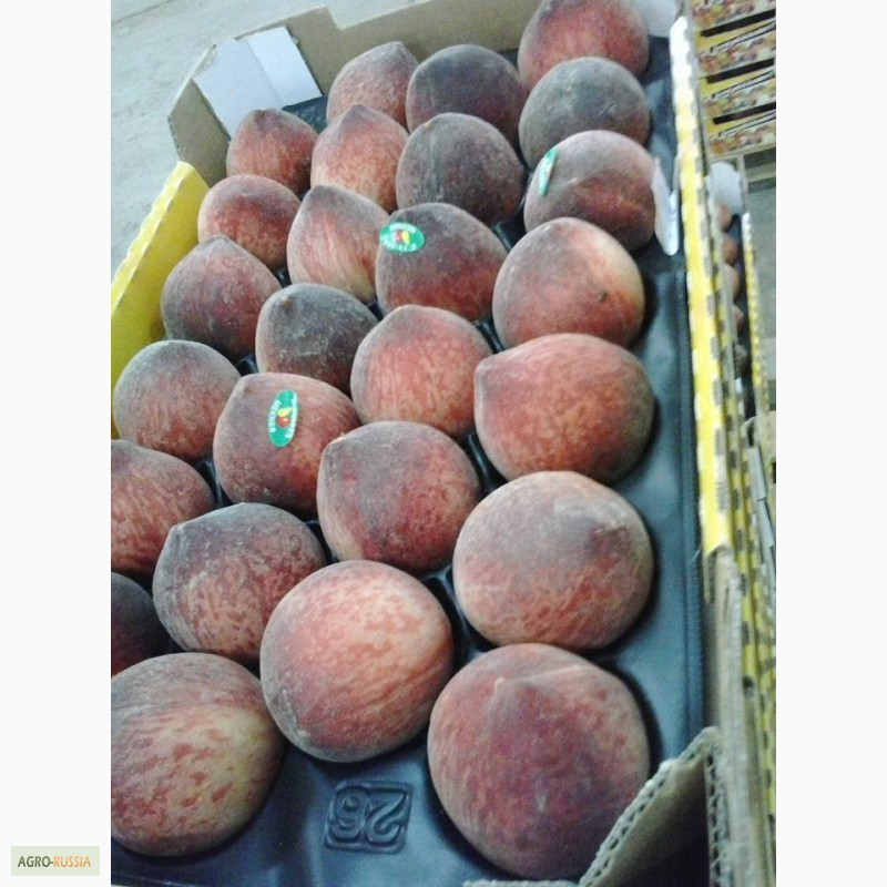 Фото 4. Свежие персики и Нектарины из Марокко