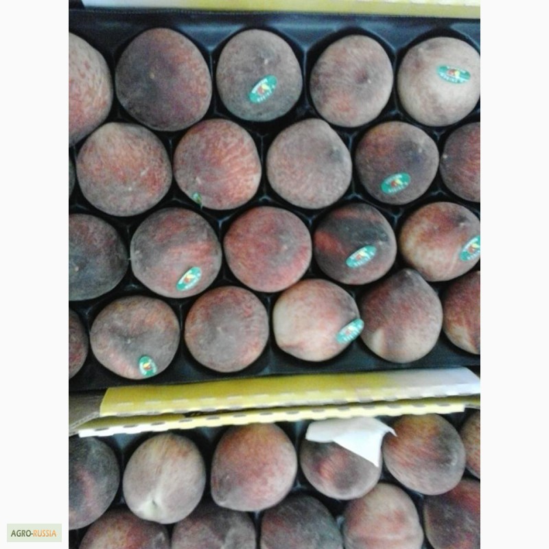 Фото 5. Свежие персики и Нектарины из Марокко
