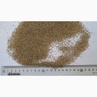 Семена тимофеевки луговой (тимофеевка)