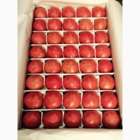 Продам помидоры сорт пинк парадайз оптом