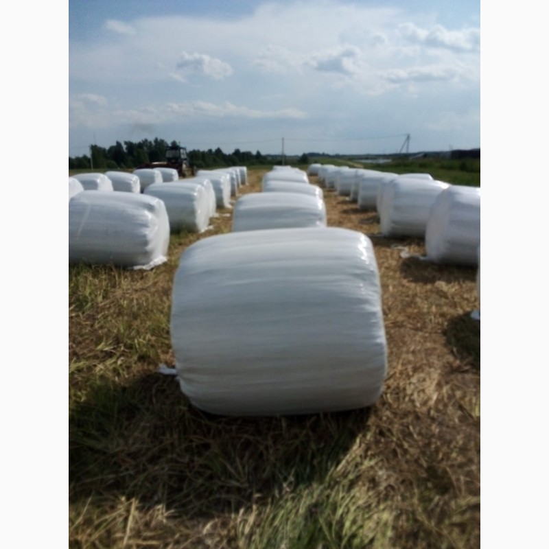 Фото 4. СПК Лесные дали реализует сено злаковое (посевное), сенаж (посевной) урожай 2020г