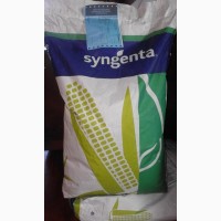 НК Гитаго семена гидрида кукурузы