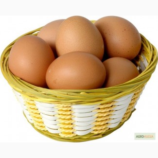 Яйцо куриное и мясо птицы