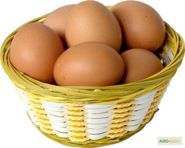 Яйцо куриное и мясо птицы