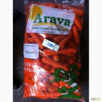 Продам морковь Израиль