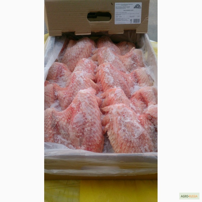 Фото 4. Продаю мясо индейки в замороженном виде от фермерского хозяйства, порода Кросс БИГ 6