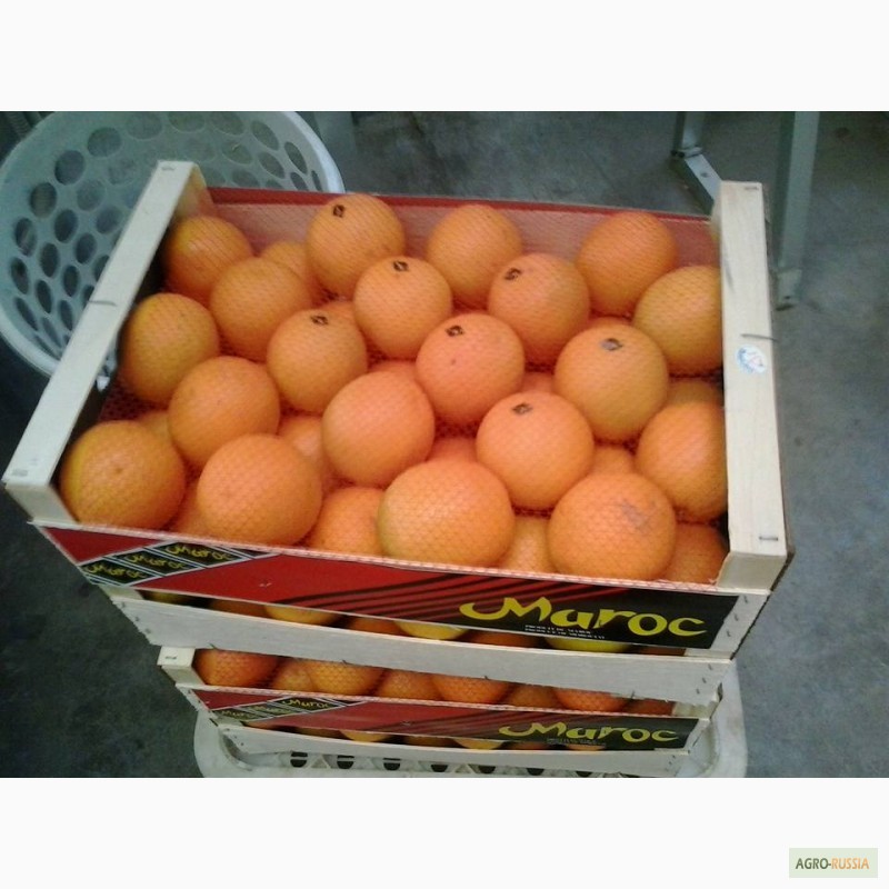 Фото 2. Апельсины из Марокко
