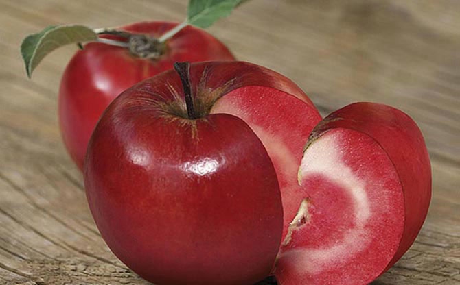 Яблоки красных сортов от 10.00 - 75.00 руб / кг