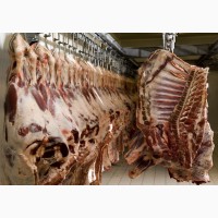Производство и переработка мяса, оптовая поставка куриного мяса