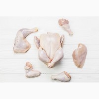 Производство и переработка мяса, оптовая поставка куриного мяса
