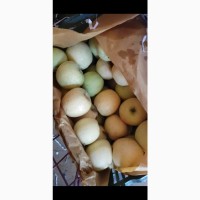 Продаю яблоки свежие из Ирана (в пути)