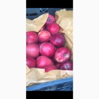 Продаю яблоки свежие из Ирана (в пути)