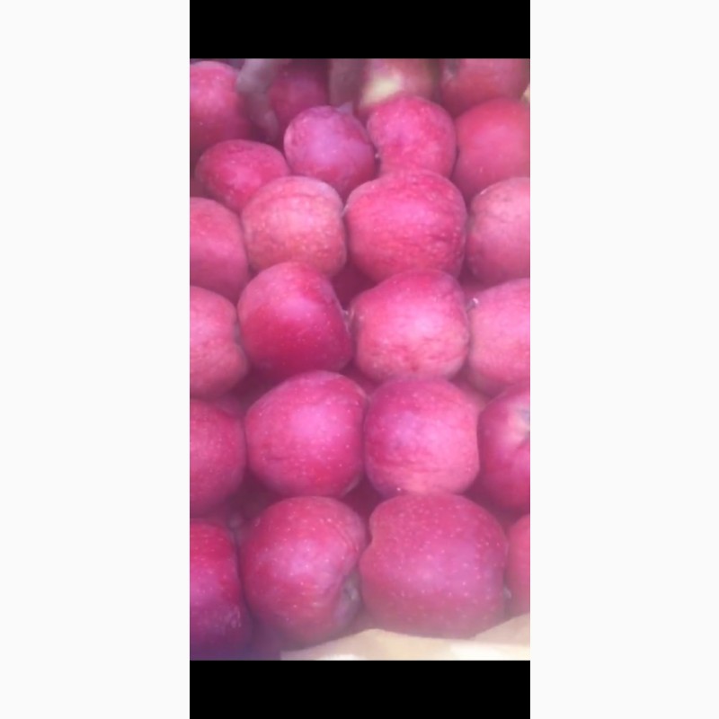 Фото 6. Продаю яблоки свежие из Ирана (в пути)