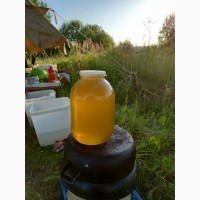 Мёд липовый и подсолнечный со своей пасеки 2021