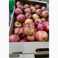 Реализуем яблоки разных сортов
