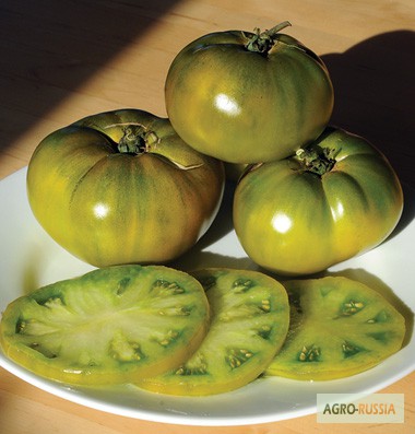 Фото 3. Семена томатов помидоров