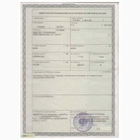 Лицензия на экспорт Чаги, кедрового ореха из РФ