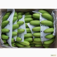 Банан зеленый от прямого импортера