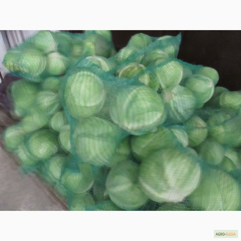 Фото 2. Продам замороженные овощи оптом