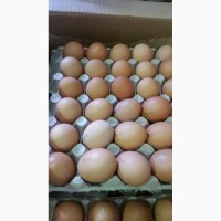 Яйцо куриное С1 - 23руб!! (от 1 коробки)