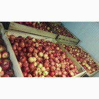 Молдавские яблоки