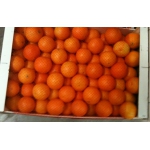 Марокко: Овощи и фрукты: Клементин, мандарины, апельсины, помидоры, перец, картошка, лук