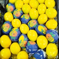 Продам лимон Enter (пр-во Турция)