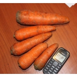 Морковь оптом, мытая.