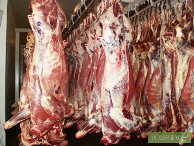 Фото 2. Мясо говядины оптом от 135 руб/кг