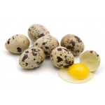 Продаю перепелиные яйца – диетические и инкубационные в Чебоксарах