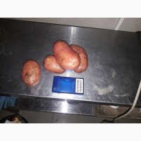 Картофель оптом от производителя 9, 50руб/кг